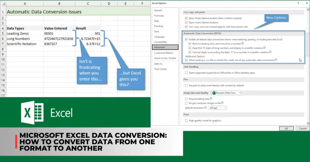 Microsoft Excel data conversion